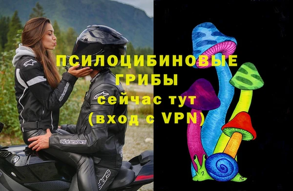 таблы Богородск