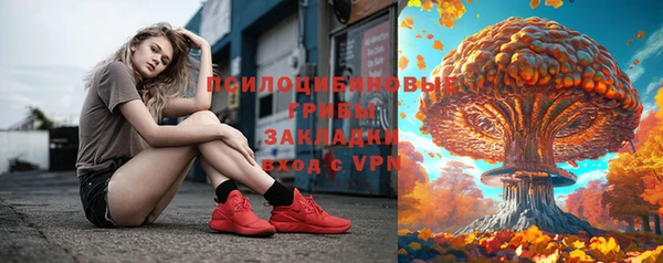 гидропоника Богданович