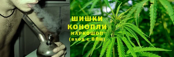 спайс Богородицк